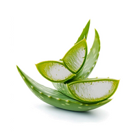 Organic aloe vera